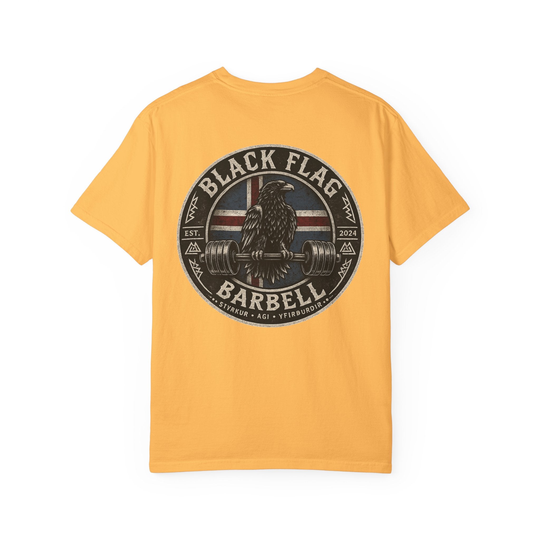 Black Flag Barbell Classic Iceland Shirt